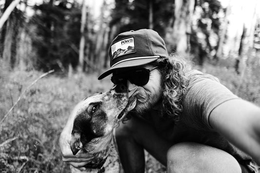 National Dog Day: Dog Athletes of Tailwind