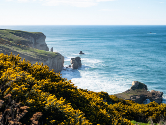 Training for the Faultline Ultra