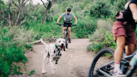 How I Use all Tailwind Products Throughout the Week