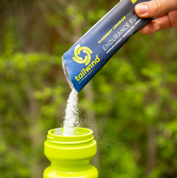 Endurance Fuel: Blueberry Lemonade Limited Edition - 6 Pack