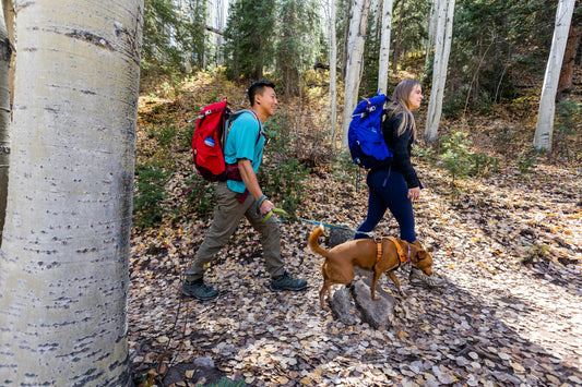 How to Hydrate for a Hike (and Why It Matters More Than You Think)