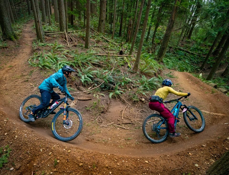 Two mountain bikers